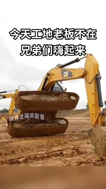 每日一帖