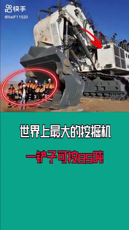 每日發(fā)帖