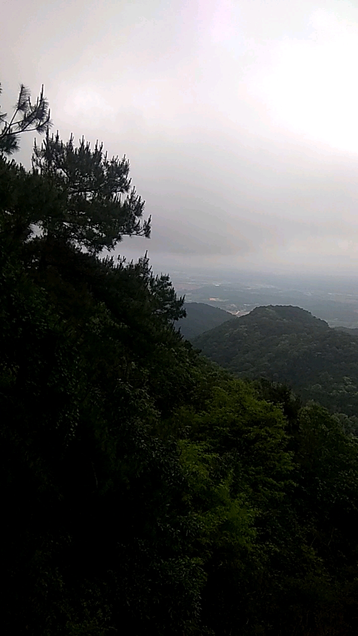 今天下雨跟朋友一起出来溜达溜达！