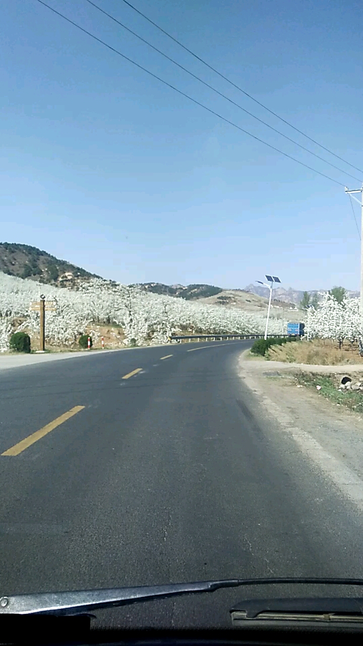 [視頻征集]看梨花，爆滿山！