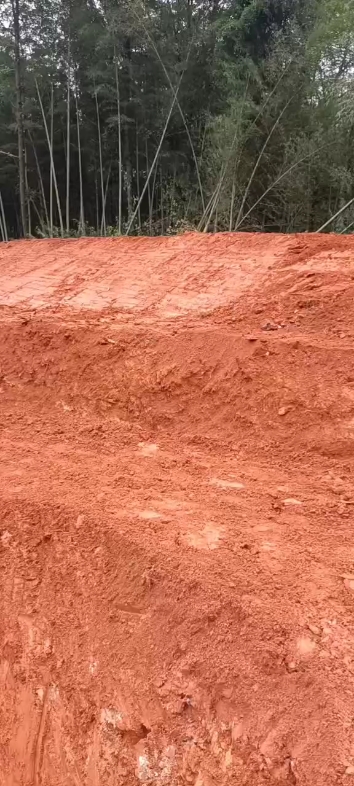 屋后