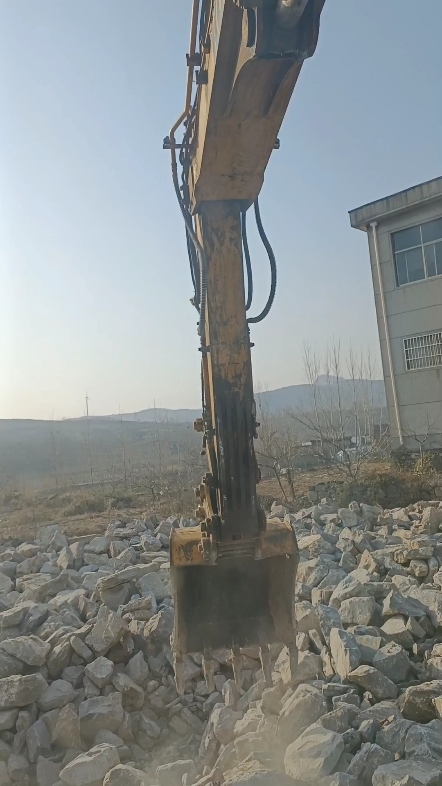 两脚兽对付四不像