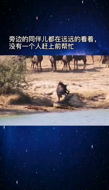 努力拼博