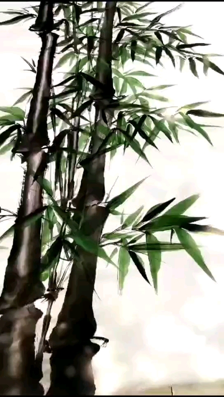 高風(fēng)亮節(jié)