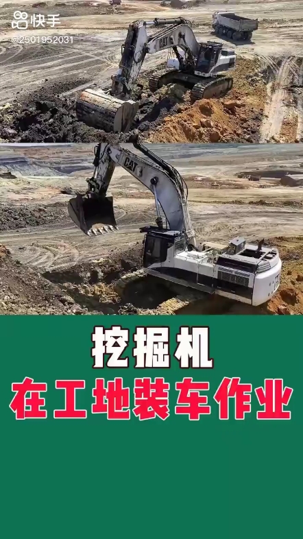 每日发帖