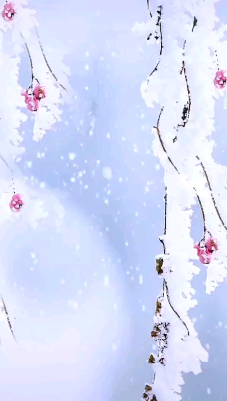 雪花飄飄