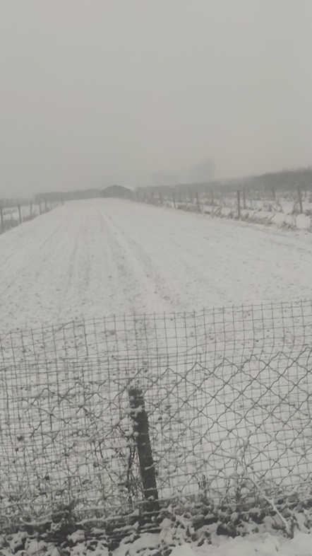 又是一年下雪时！