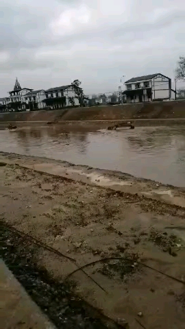 洗洗挖機