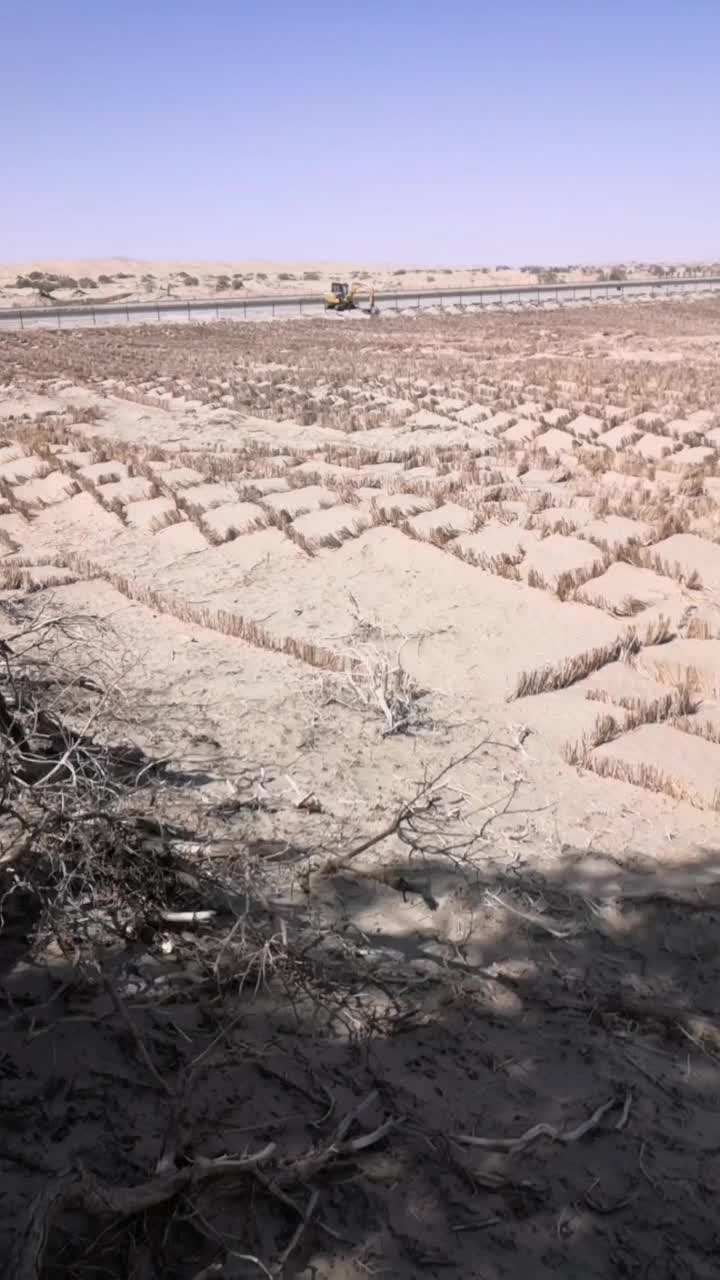 干了這么多天活終于找了一個有樹的地方