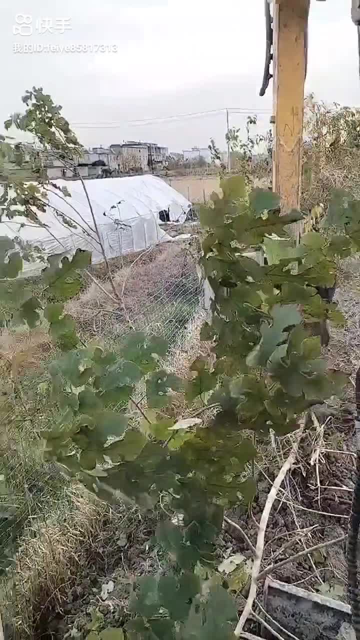 一個人的城市
