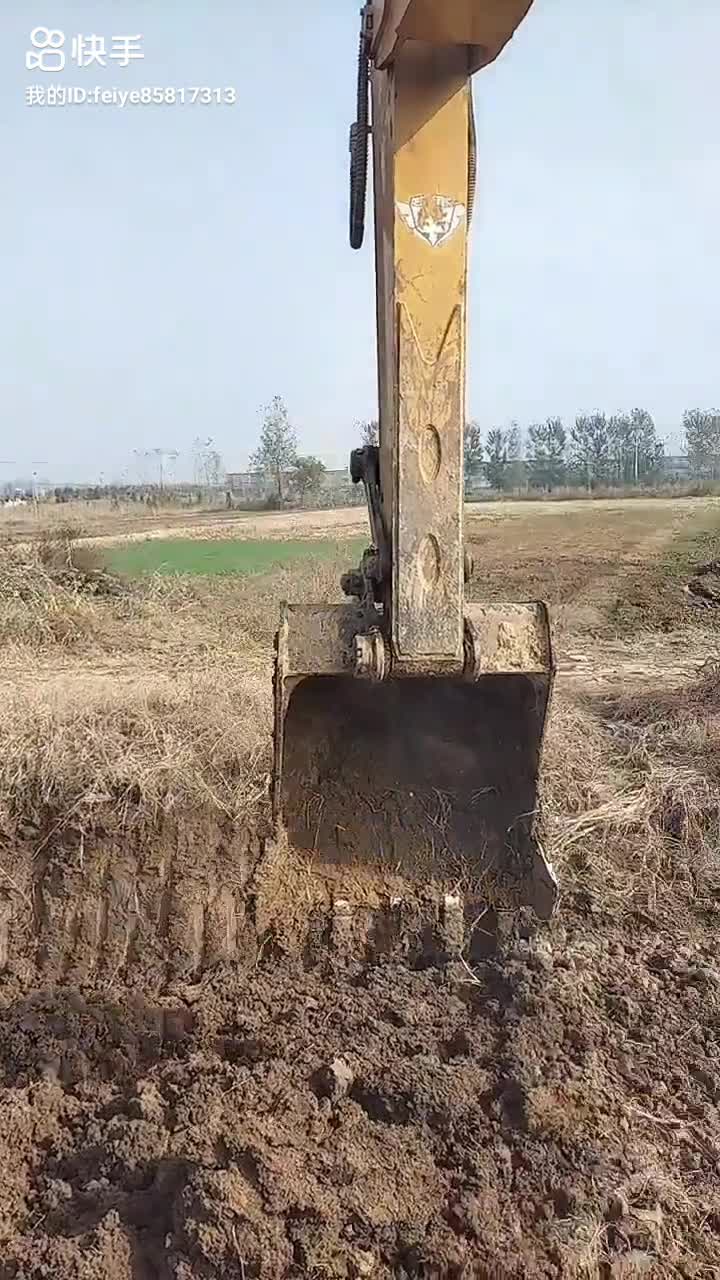 我的回答是