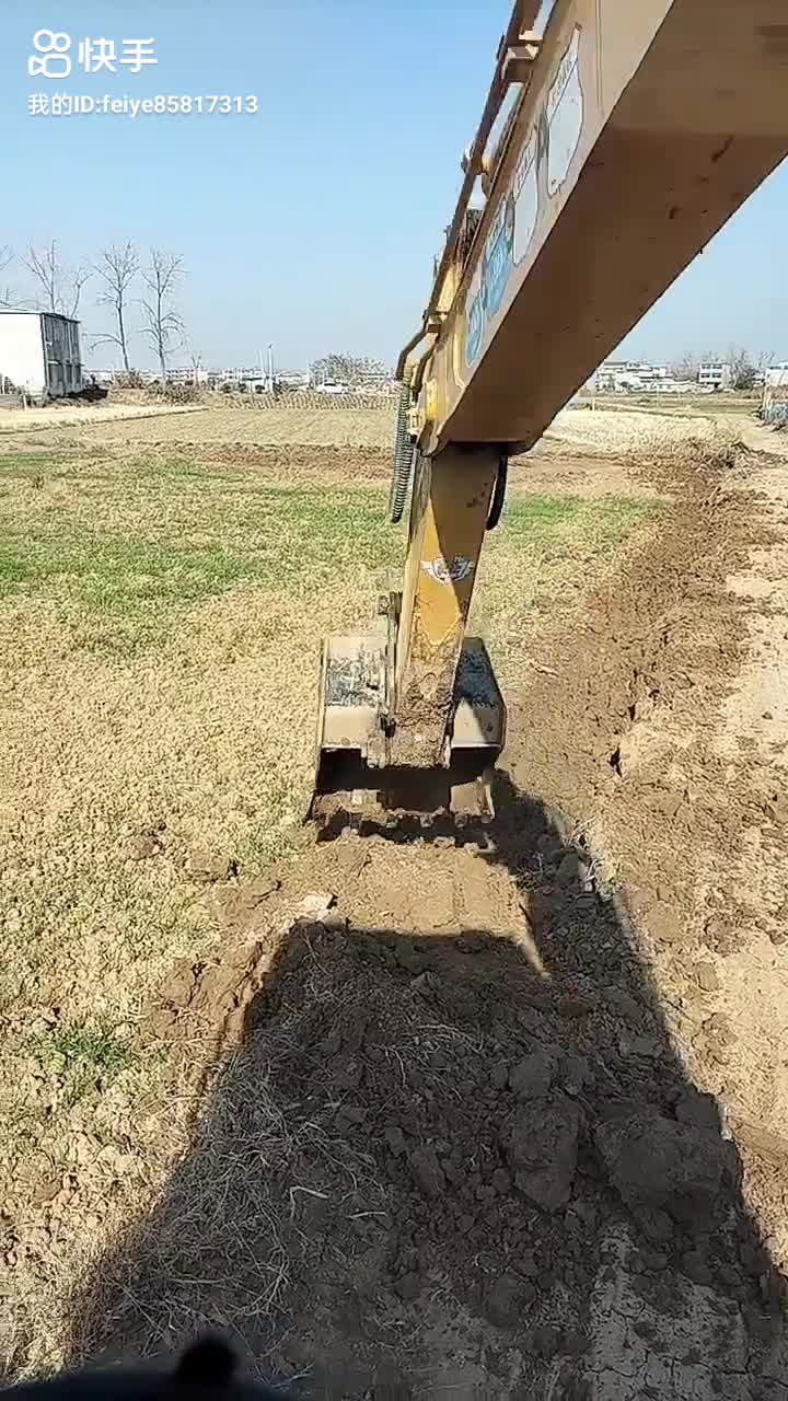 情感慫恿你最后一博