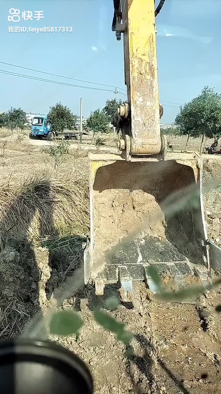 隨心所欲