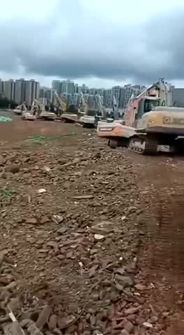 今天開集體動員大會