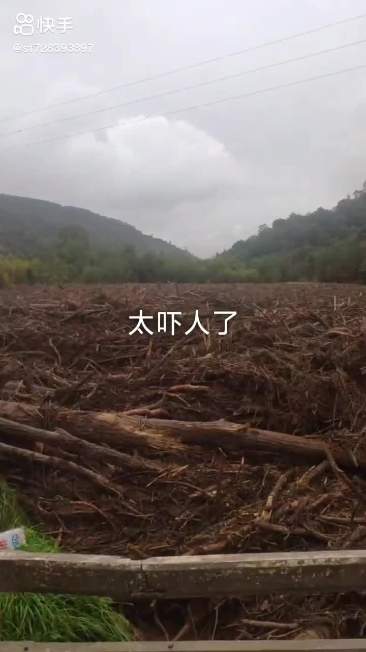 發(fā)洪水了