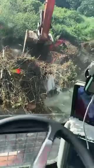 推土機(jī)