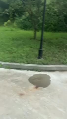 雨停了弄事
