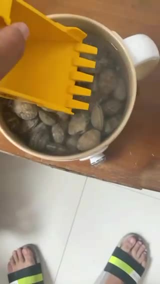 專業(yè)不專業(yè)
