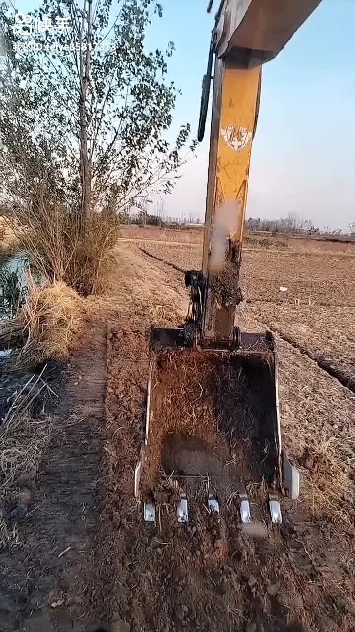 歲月茫然
