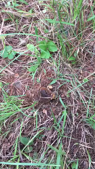 這里下雨就有了