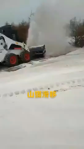 猫咪刨雪