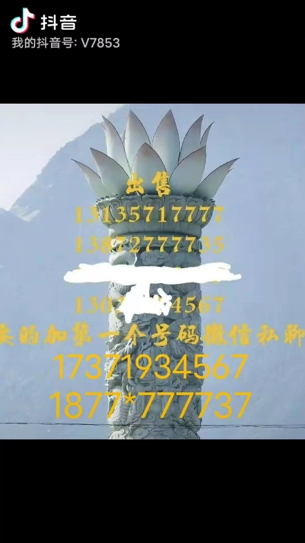 有没有有实力的老板了解一下！挖机行业不好做啊！