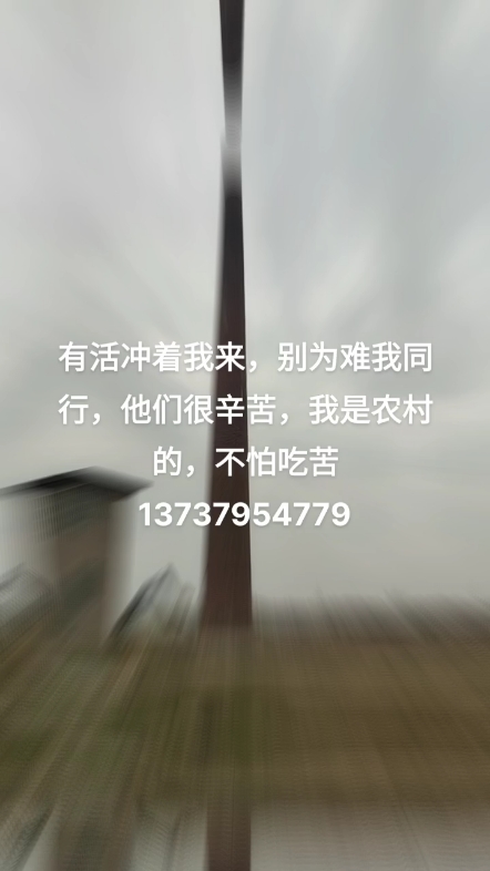 碎银几两愁断肠