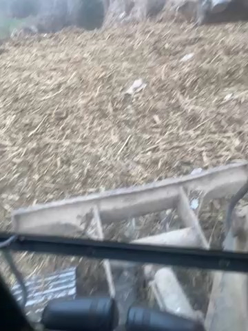 又是一年春-帖子圖片