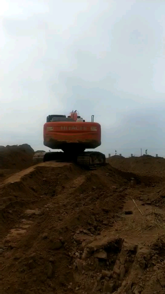 红牛