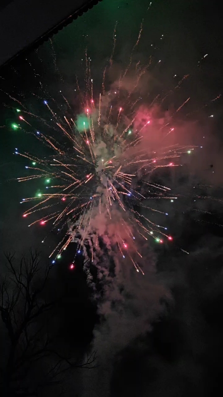 發(fā)布了一條動態(tài)-帖子圖片