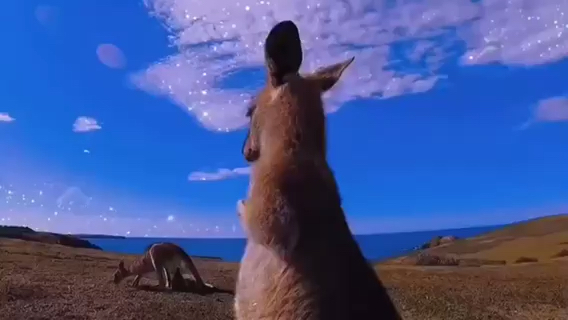 凉凉了