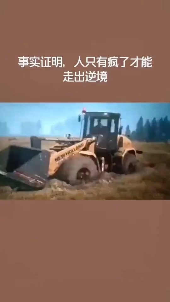 哈哈哈哈哈哈哈！