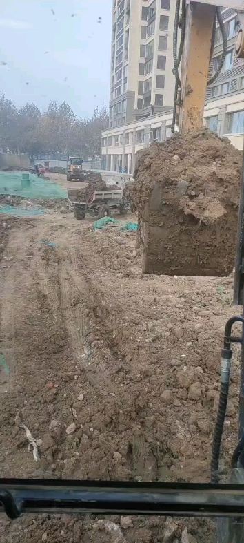 环境二级响应