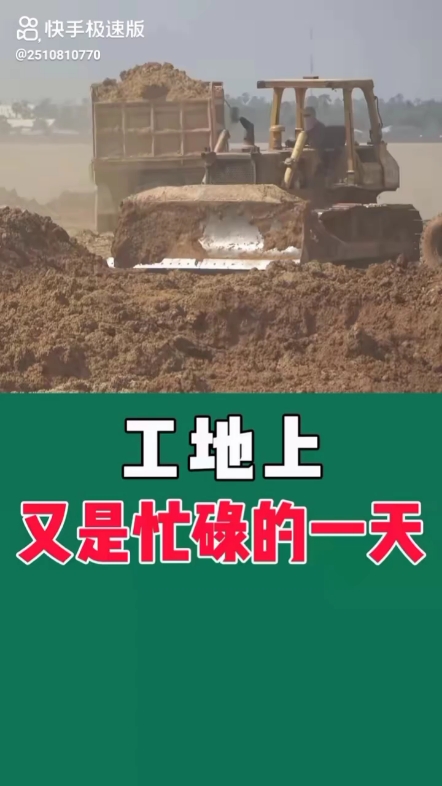 每日发帖