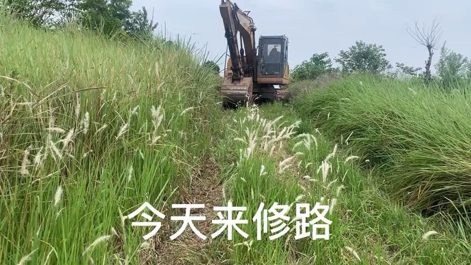 【深山老林修路记】我挖机学徒强总的日常生活！