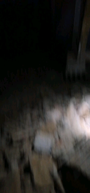 唯有拼搏！方能解忧