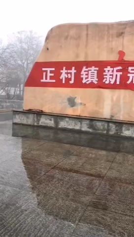 今年过年很有特色，过了一个标标准准的鼠年。人们都钻进洞里
