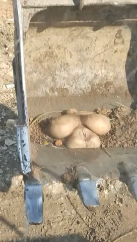 我也不敢问我也不敢说