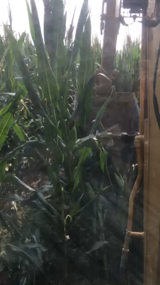 新型农村玉米收割机诞生了、直接秸秆还田的那种[表情]
