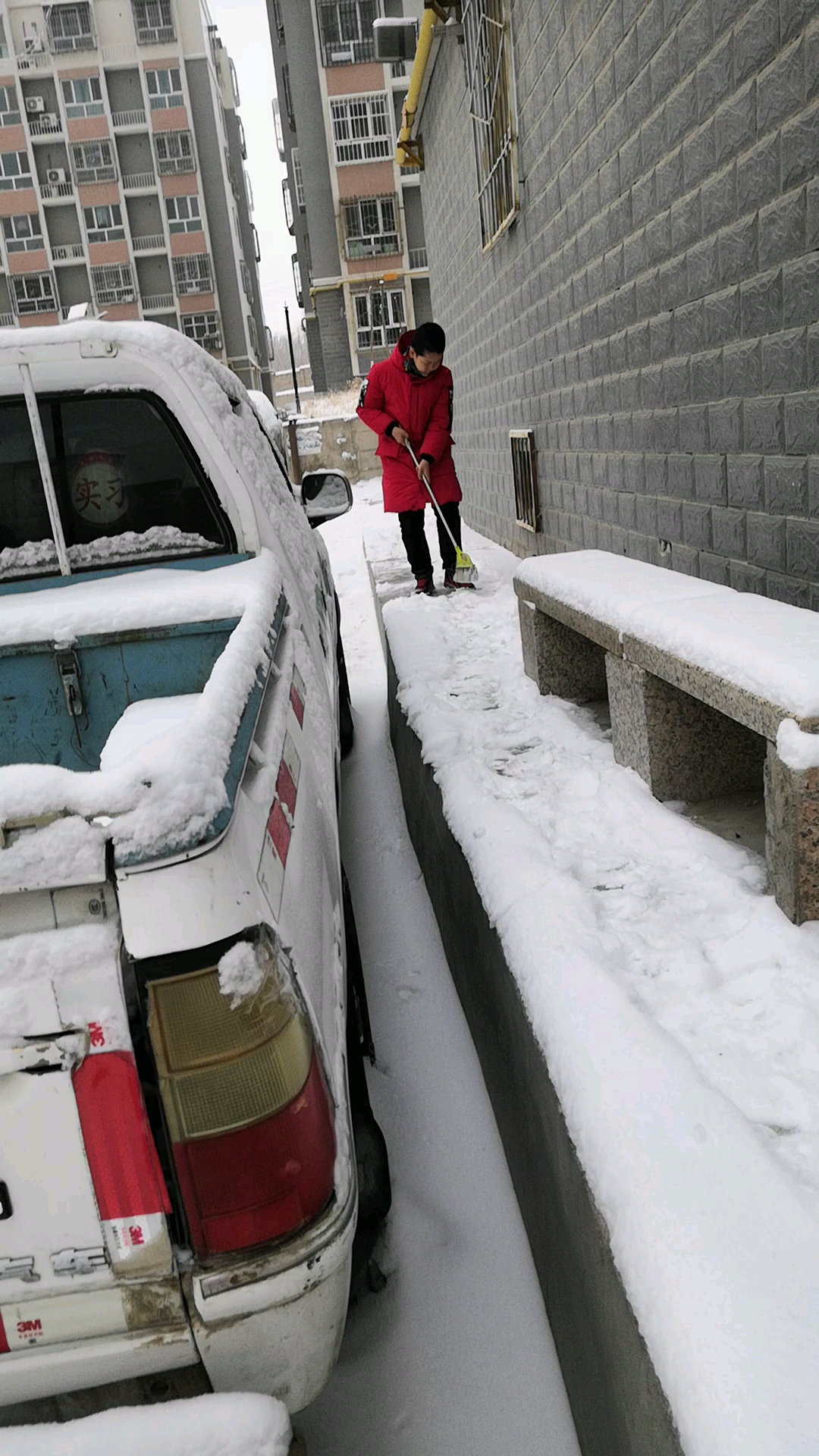 【金鼠打卡第二天】下雪了