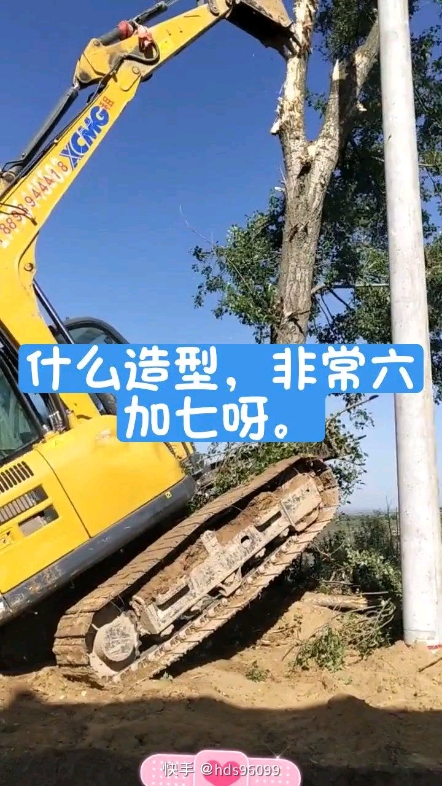 這年頭挖機(jī)都上樹了，男人得有多瘋狂????