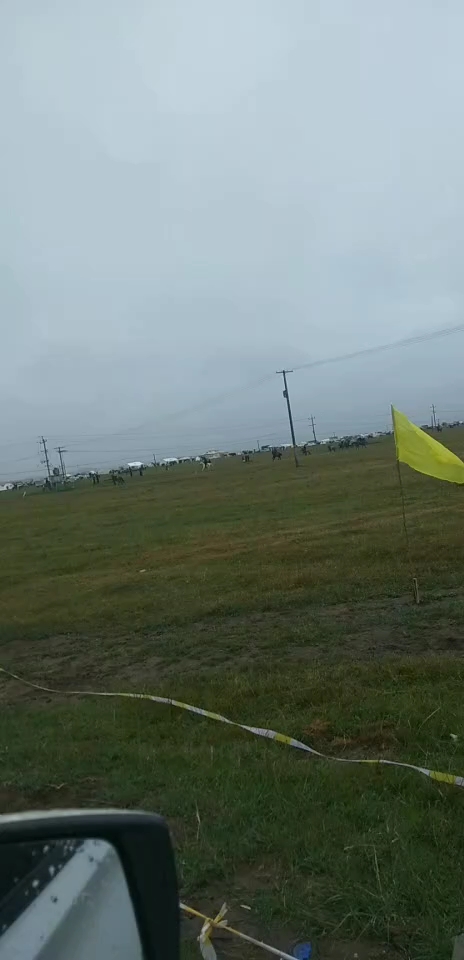赛马会