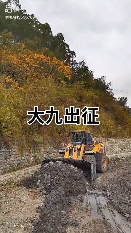 每日发帖