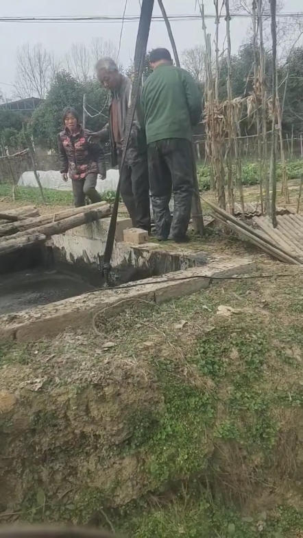救牛一命，胜造七级佛徒