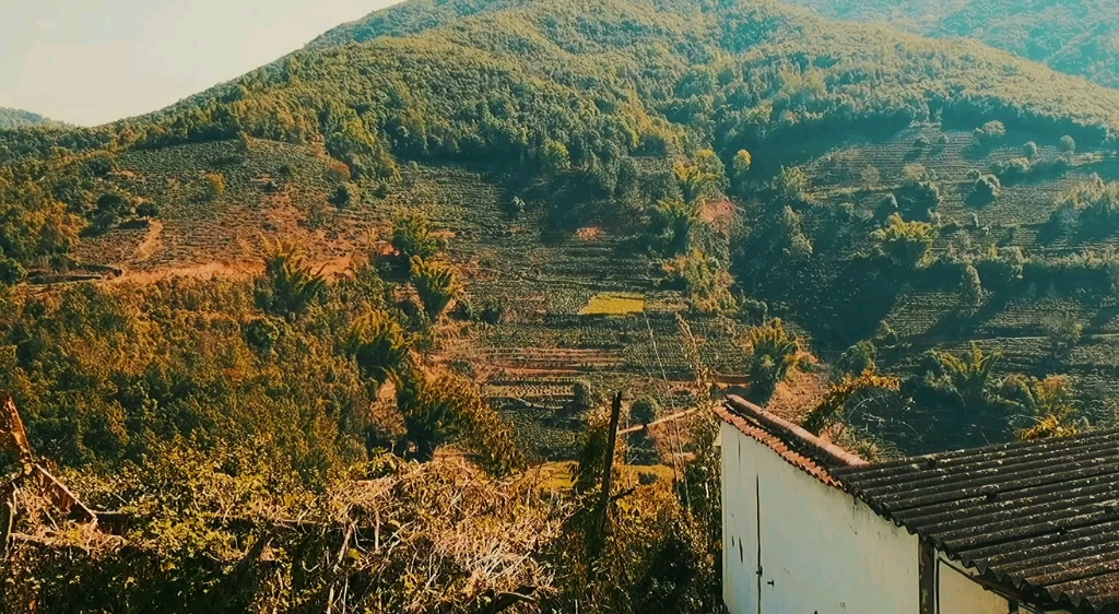 车太大