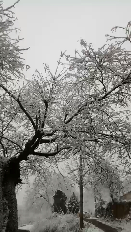 你哪下雪了吗？