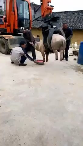 优秀