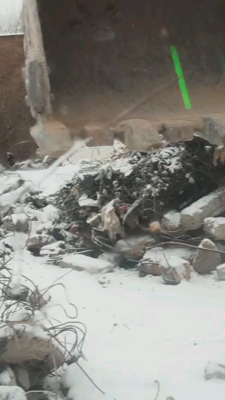 你那里下雪了吗😂😂