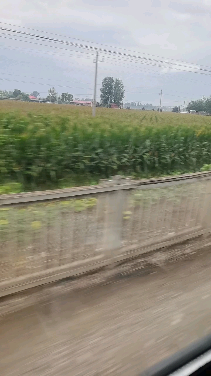 发布了一条动态