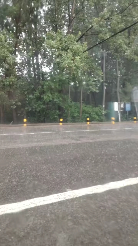 你们那里发洪水没有啊